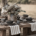 MONICA set of 2 striped linen napkins